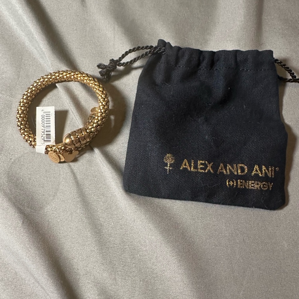 Disney parks alex and ani Minnie